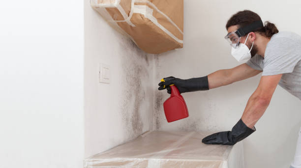 Professional Mold Testing technician working in Hamilton, MI