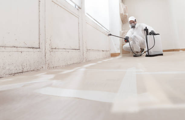 24/7 Emergency Mold Testing experts in Hamilton, MI